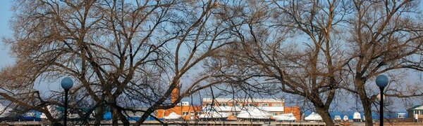 Впервые с начала осени дневная температура во Владивостоке останется со знаком минус
