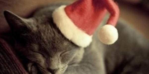 10 выходных: Куда податься?