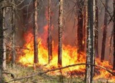 В крае возросла пожароопасность