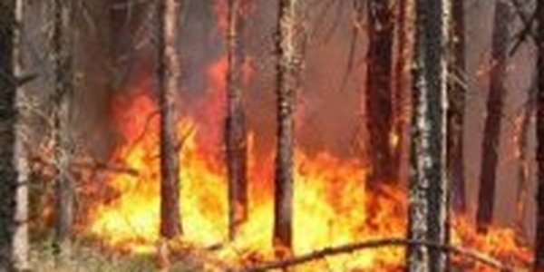 В крае возросла пожароопасность