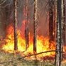 В крае возросла пожароопасность