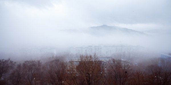 Приморцев ждут дождливые выходные
