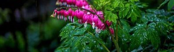 Внимание! Предупреждение о неблагоприятной погоде 3 – 4 июня