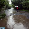 Дождливое лето