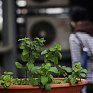 Проливной дождь во Владивостоке сменился на сильный ветер (ФОТО)