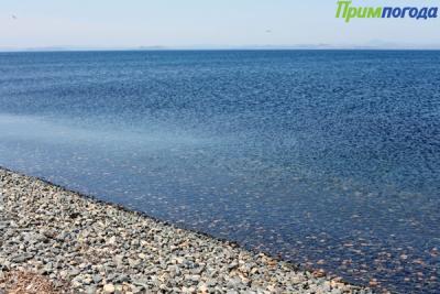 17 пляжей Приморья, на которых можно отдохнуть этим летом 17 пляжей Приморья, на которых можно отдохнуть этим летом