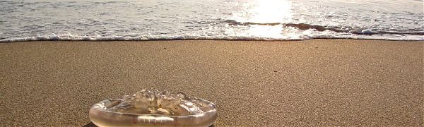 Как спастись от медузы в Приморье?