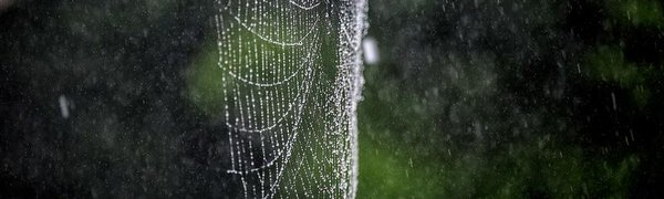 В пятницу во Владивостоке будет дождливо