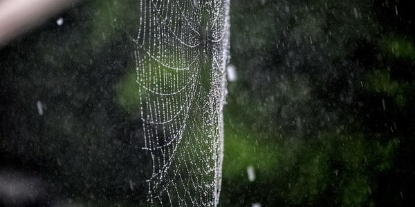 На выходных погода в Приморье испортится