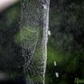 На выходных погода в Приморье испортится