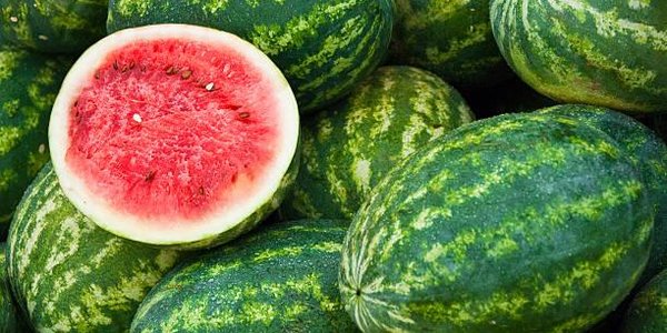 Сезон продажи арбузов и дынь стартует на главной ярмарке Владивостока