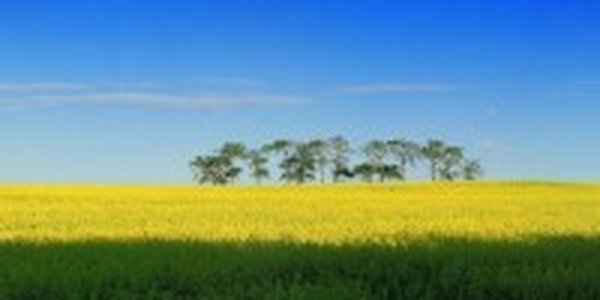 В Приморье продолжается лето