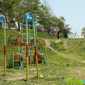 Краски лета (ФОТО)