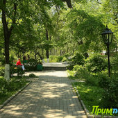 Краски лета (ФОТО)