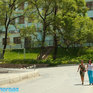 Краски лета (ФОТО)