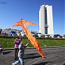 Воздушные змеи в небе Владивостока