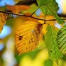 Вчерашний день оказался самым теплым во Владивостоке с начала октября 