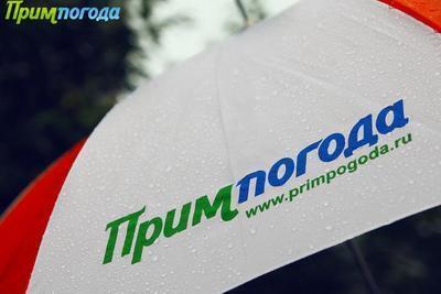 Синоптики опубликовали прогноз погоды на первую неделю августа в Приморье