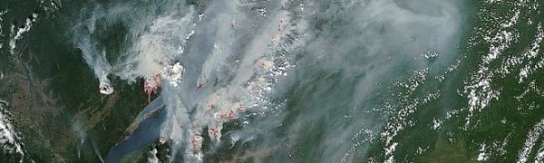Спутник запечатлел пожары в Сибири