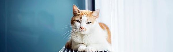 Отопительный сезон стартует во Владивостоке 20 октября