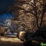 Октябрь в Приморье завершается снегом и похолоданием