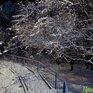 Октябрь в Приморье завершается снегом и похолоданием