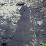 Октябрь в Приморье завершается снегом и похолоданием
