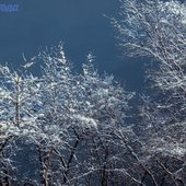 Октябрь в Приморье завершается снегом и похолоданием