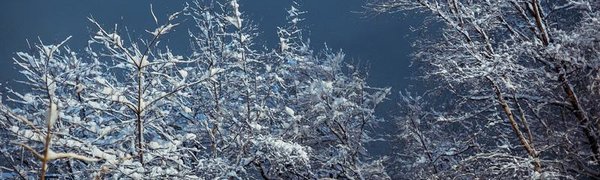 Октябрь в Приморье завершается снегом и похолоданием