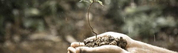 Жители Кировского района Приморья могут потерять урожай из-за переувлажнения почвы