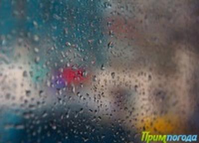 Во Владивостоке и на юге края установилась дождливая погода