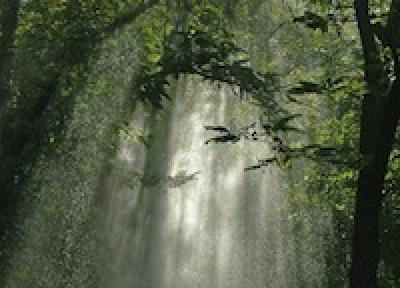 Завтра в Приморье пройдут дожди разной интенсивности