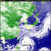 На свет появился новый тайфун MAWAR