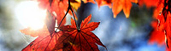 Холодная погода накрыла всю территорию Приморья