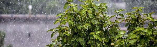 Новый циклон повлияет на погоду в Приморье во вторник (ТРАЕКТОРИЯ)