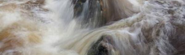 Дождевые паводки начали формироваться на большинстве рек Приморья