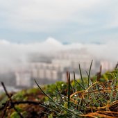 Погода в Приморье по-прежнему неустойчива