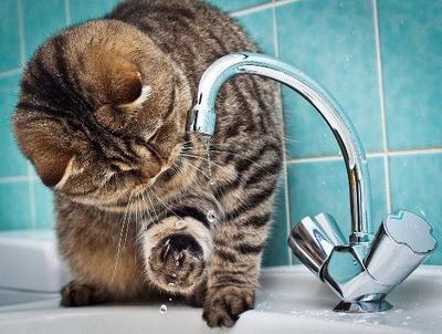 Горячую воду начнут отключать во Владивостоке с 10 мая