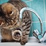 Горячую воду начнут отключать во Владивостоке с 10 мая