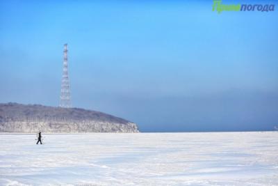 Массовый мор рыбы обнаружили рыбаки на реке Раздольной в Приморье Массовый мор рыбы обнаружили рыбаки на реке Раздольной в Приморье