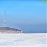 Массовый мор рыбы обнаружили рыбаки на реке Раздольной в Приморье