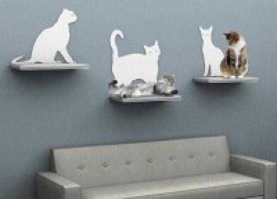 Cat Silhouette — достойное место для Вашей кошки
