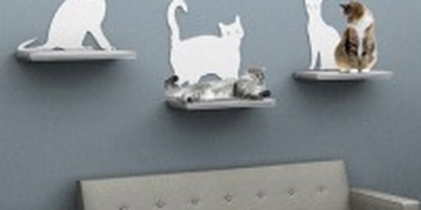 Cat Silhouette — достойное место для Вашей кошки