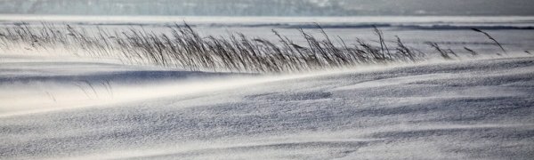 В Приморье установился снежный покров