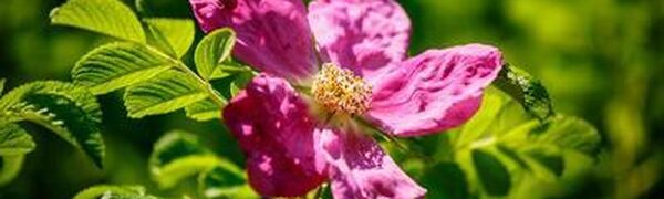 Погода в Приморье начнет налаживаться в пятницу