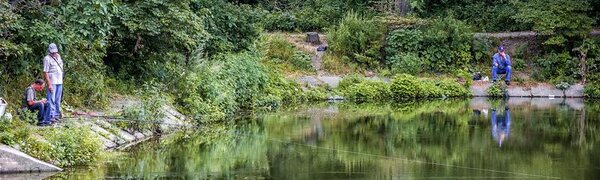 Пока тайфуны не угрожают Приморью