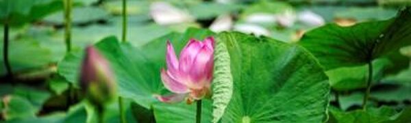 В Приморье похолодало раньше обычного