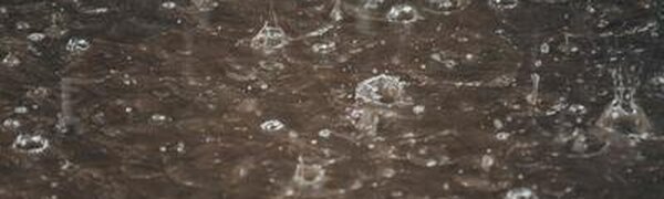 Дожди, местами сильные, испортят погоду в Приморье в среду