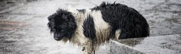 Третьи сутки в Приморье сохраняется ненастная погода