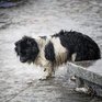 Третьи сутки в Приморье сохраняется ненастная погода